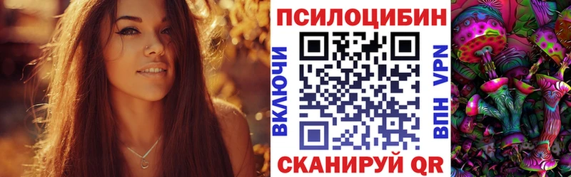 цена   Закаменск  Псилоцибиновые грибы GOLDEN TEACHER 
